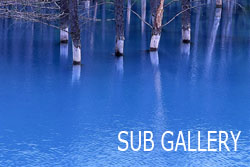 SUB GALLERY