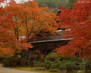 西明寺の紅葉