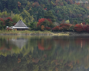 広沢の池