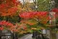 車折神社