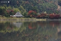 広沢の池