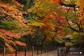 薬医門への道１