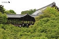 雨の東福寺