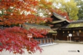 色づく河合神社