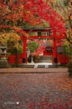 大原野神社