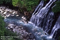 白髭の滝